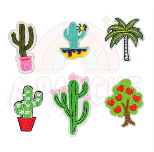 Cactus y más 🌵