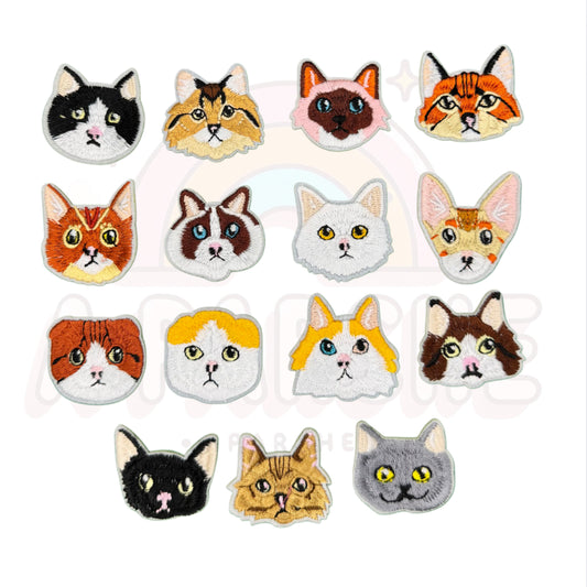 Más gatos 🐈